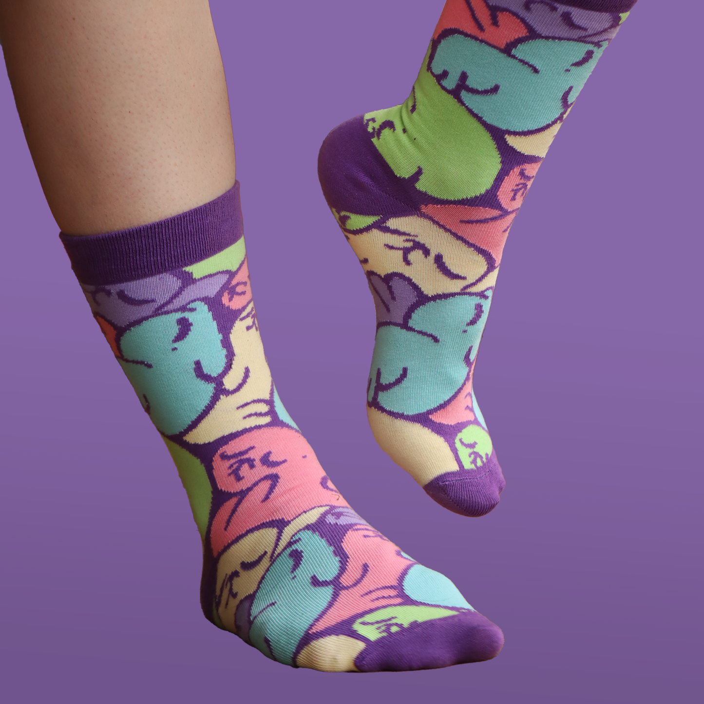 foczy zestaw ✦ kolorowy